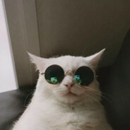布偶