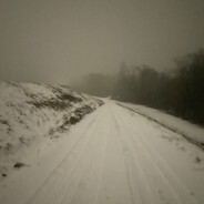 -SILVO- シ - steam id 76561199049715699