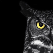 BlackOwl
