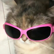 拜托让我多混两把