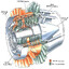 Turbine Nozzle Guide Vane