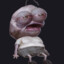 SolaireSan
