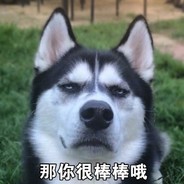 今天又是只二哈呢