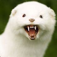 MinedPolecat34