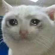 Lil Meow avatar