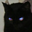 hecking
