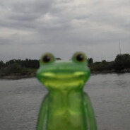 Avatar snapshot