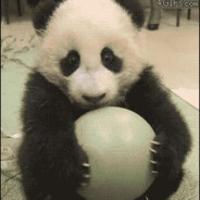 Panda's avatar