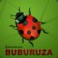 buburuza