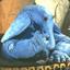 max rebo