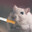 HIGHPINGMON