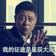 胸怀宇宙孙连城