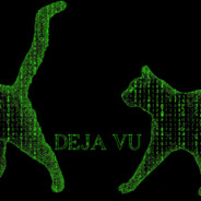 DejaVu - steam id 76561197975085576