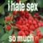 I HATE PORN.ttv