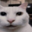 rezecake