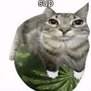 KleyzerMouth's avatar