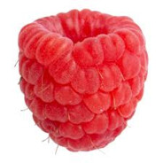 Raspberry
