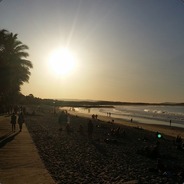 rudog - steam id 76561197960286530