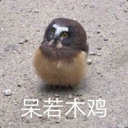 你真的不要过来啊