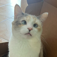 stormchaser_4 (mic broke)