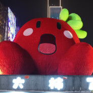 斜风细雨不须归