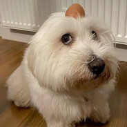 карнишончик