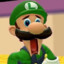 luigi