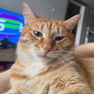 proN - steam id 76561198051042485