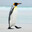 Steam avatar of Thatoe