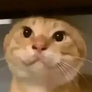 历战王哈基米•耄耋