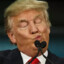 D.TRUMP