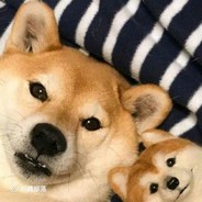 憨憨没了心变成了敢敢