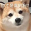 ooooooo
