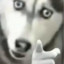 Kira