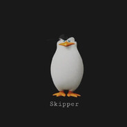 SKIPPER