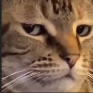 K^K