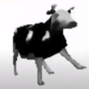 Polish cow