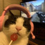FiestaCritta's avatar