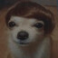 Dog with a wig