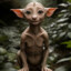 Gargoyle Powered By Nature