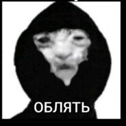 -Shey - steam id 76561198999693296