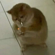 gugumeloSSJGOD