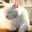 Bosuball