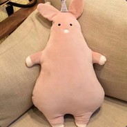 电脑玩家思密斯