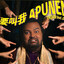 不要叫我APUNENE
