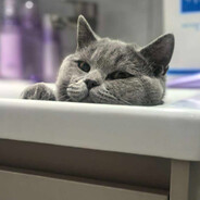 82岁彭于晏讨厌帅气的人