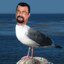 Steven Seagull