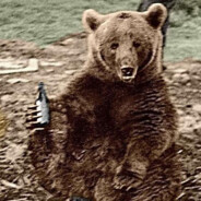 Wojtek the Bear