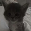 morbus's avatar