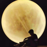 恒宝很快就回来啦